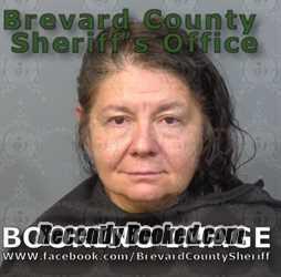 Recent Mugshot Image for TANIA HAGOPIAN PERNAL in Brevard County, Florida