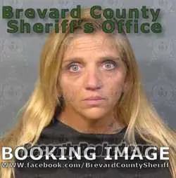 Recent Mugshot Image for DANIELLE CATHERINE LEHOTAN in Brevard County, Florida