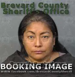 Recent Mugshot Image for Gloria Borrachando Flores in Brevard County, Florida