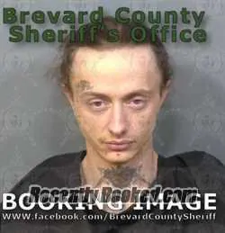Recent Mugshot Image for BRICE NICOLAS WHITE in Brevard County, Florida
