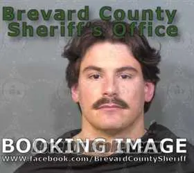 Recent Mugshot Image for DYLAN A PALMER in Brevard County, Florida