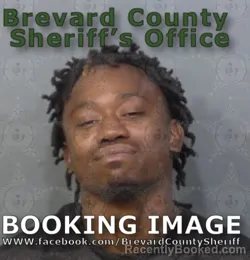 Recent Mugshot Image for Eric Rashawn Williams in Brevard County, Florida
