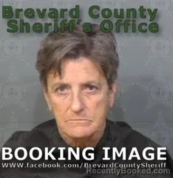 Recent Mugshot Image for Cynthia Meekins in Brevard County, Florida
