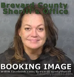 Recent Mugshot Image for AIMEE DENISEJORDAN DAUBS in Brevard County, Florida
