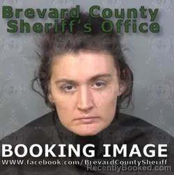 Recent Mugshot Image for TEAGAN SKYLER HANSHAW in Brevard County, Florida
