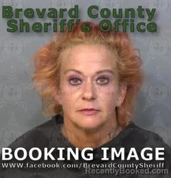 Recent Mugshot Image for Amanda Elizabeth Briggs in Brevard County, Florida