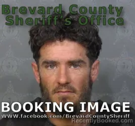 Recent Mugshot Image for AUSTIN TYLER JUSTUS PETTRY in Brevard County, Florida