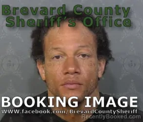 Recent Mugshot Image for Rain Joel Pipkins in Brevard County, Florida