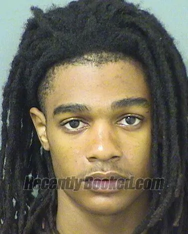 Recent Mugshot Image for DELROY LEWIS in Palm Beach County, Florida