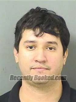Recent Mugshot Image for DAVID TAMEZ in Palm Beach County, Florida