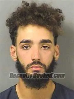 Recent Mugshot Image for MAURY CESAR RUBIO in Palm Beach County, Florida
