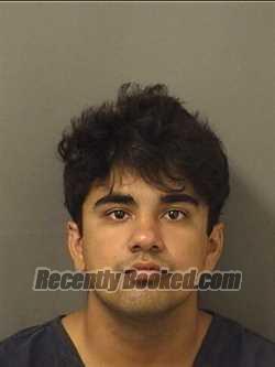 Recent Booking / Mugshot for JEFFREY JAMES ARBEAU in Palm Beach County