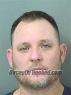 Recent Mugshot Image for ALEXIS BORGES in Palm Beach County, Florida