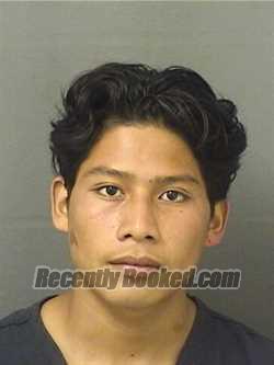 Recent Mugshot Image for LUIS CARRILLORAFAEL in Palm Beach County, Florida