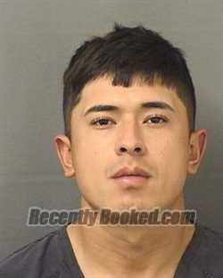 Recent Mugshot Image for MARTIN ENRIQUE LEONLEYVA in Palm Beach County, Florida