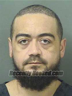 Recent Mugshot Image for RAMON A IGNACIO in Palm Beach County, Florida