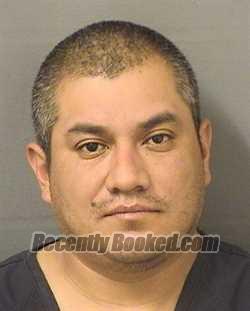 Recent Mugshot Image for ERIC CALVILLO in Palm Beach County, Florida