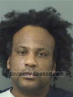 Recent Mugshot Image for DEANDRE J DELFISH in Palm Beach County, Florida