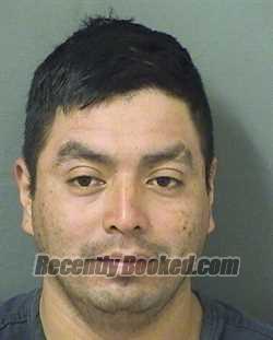 Recent Mugshot Image for JOSE VINICIO CHOJOLANCHIM in Palm Beach County, Florida