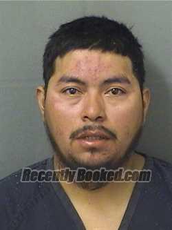 Recent Booking / Mugshot for EDWIN ALEXANDER PUCASTRO in Palm Beach ...