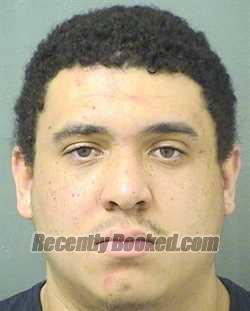 Recent Mugshot Image for BRANDON MICHAEL HODGKINS in Palm Beach County, Florida