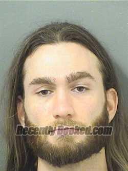 Recent Mugshot Image for ZACHARY AUSTIN CALVARESE in Palm Beach County, Florida