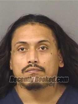 Recent Mugshot Image for KEVIN JESUS PESANTES in Palm Beach County, Florida