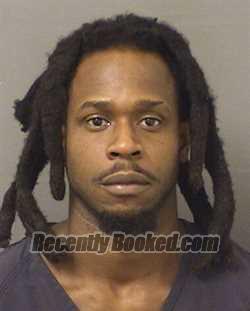 Recent Mugshot Image for ADJAFI JUNIOR ALISMA in Palm Beach County, Florida