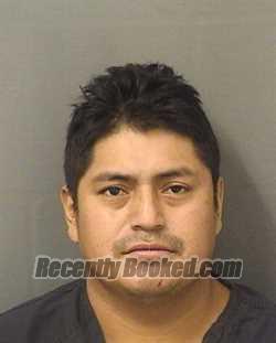 Recent Mugshot Image for EDY LUISVASQUEZ in Palm Beach County, Florida