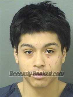 Recent Mugshot Image for PAUL PORTILLO in Palm Beach County, Florida