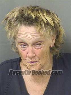 Recent Mugshot Image for KAREN ELIZABETH CLARK in Palm Beach County, Florida