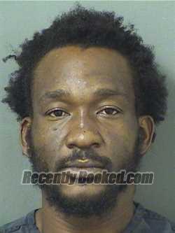 Recent Mugshot Image for SCHNIDER ANNOUAL in Palm Beach County, Florida