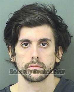 Recent Mugshot Image for DAVID MITCHELL GONZALEZ in Palm Beach County, Florida