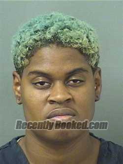 Recent Mugshot Image for DESTINY MICHAELA DAMES in Palm Beach County, Florida