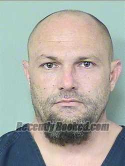 Recent Mugshot Image for CORRIE A SHEPARD in Palm Beach County, Florida