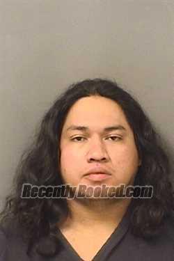 Recent Mugshot Image for CARLOS DANIE TRINIDADHERNANDEZ in Palm Beach County, Florida