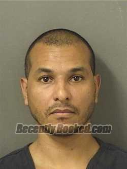 Recent Mugshot Image for ARIS FERMIN in Palm Beach County, Florida