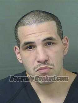 Recent Mugshot Image for DOMENICK ZINGALE in Palm Beach County, Florida