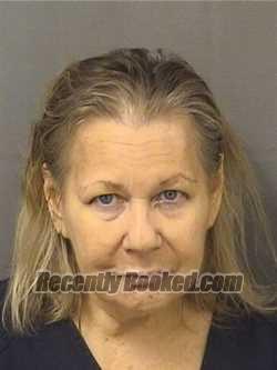 Recent Mugshot Image for DANA A SOMMER in Palm Beach County, Florida