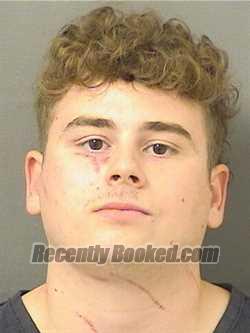 Recent Mugshot Image for LOGAN JAMES NAPOLEON in Palm Beach County, Florida