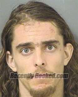 Recent Mugshot Image for NIKITA SERGEEVICH DEEV in Palm Beach County, Florida
