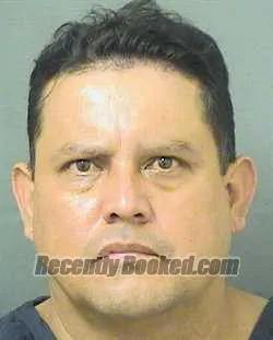 Recent Mugshot Image for ELVIN MONTEJOANTONIO in Palm Beach County, Florida