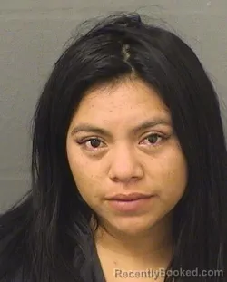 Recent Mugshot Image for SHEYLA MAZARIEGOSMORALES in Palm Beach County, Florida
