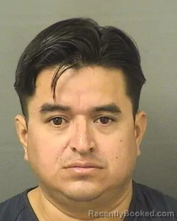 Recent Mugshot Image for MARIO ANTONIO LOPEZ in Palm Beach County, Florida