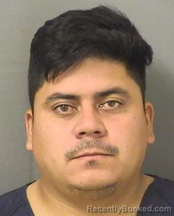 Recent Mugshot Image for DICXON JOSE PINEDACARRERO in Palm Beach County, Florida
