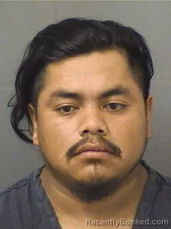 Recent Mugshot Image for DIONEL GONZALEZLUCAS in Palm Beach County, Florida