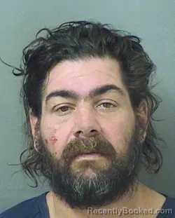 Recent Mugshot Image for SALVATORE A FALLETTA in Palm Beach County, Florida