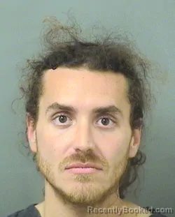Recent Mugshot Image for MICHAEL LEVINE in Palm Beach County, Florida