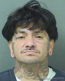 Recent Mugshot Image for KUMAR JR BEHARRY in Palm Beach County, Florida