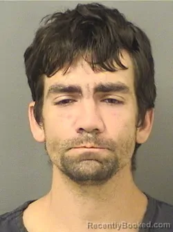 Recent Mugshot Image for MICHEL JOSEPH MCGILLIS in Palm Beach County, Florida